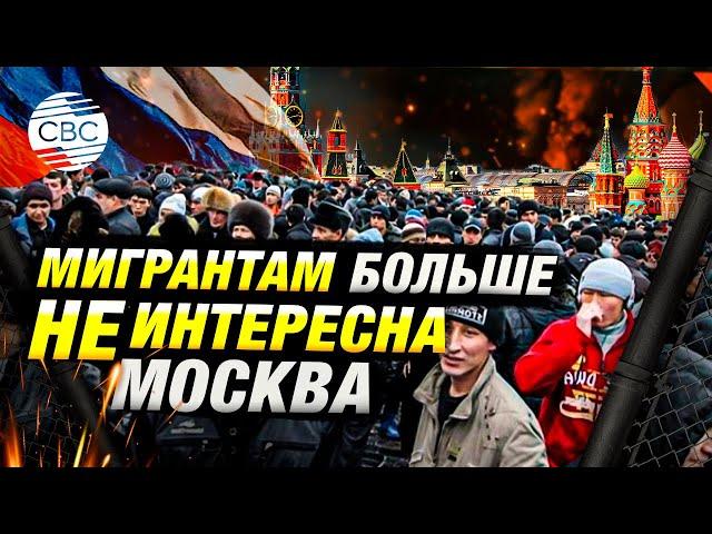Жесткие ограничения для мигрантов в России: глава СК РФ Бастрыкин предложил новые меры