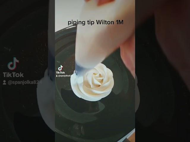 Wilton 1M tip