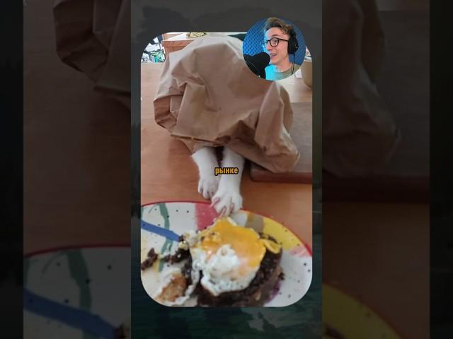 ВИРУСНЫЕ ВИДЕО / Плащ невидимка 