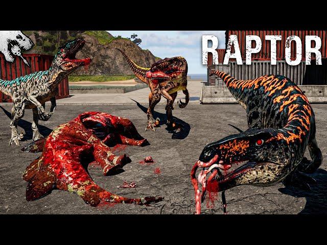 RAPTOR - RUDEL IM BLUTRAUSCH ️🩸 Überleben als OMNIRAPTOR   - The Isle