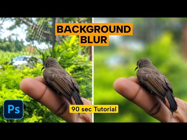 How To Blur Backgrounds in Photoshop [FAST & EASY!]