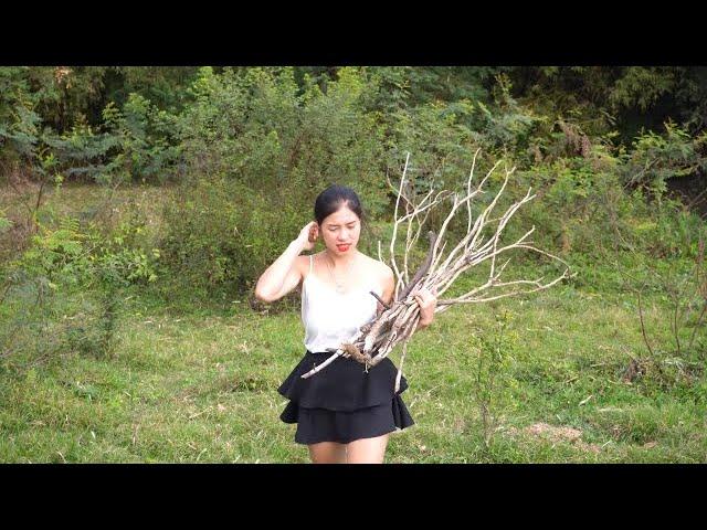 Go to the riverbank to dig sweet potatoes to grill - Julia Daily Life