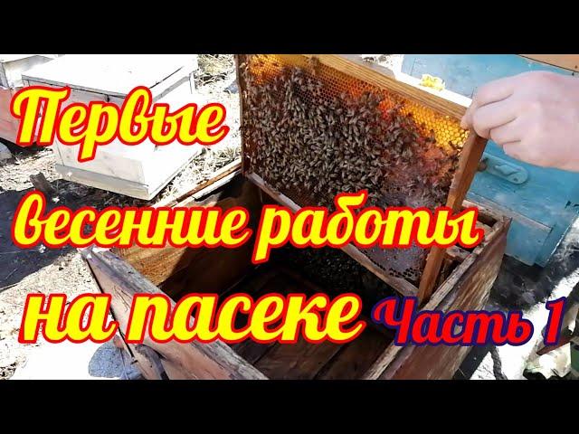 Первые весенние  работы на пасеке./ Пчеловодство на Урале