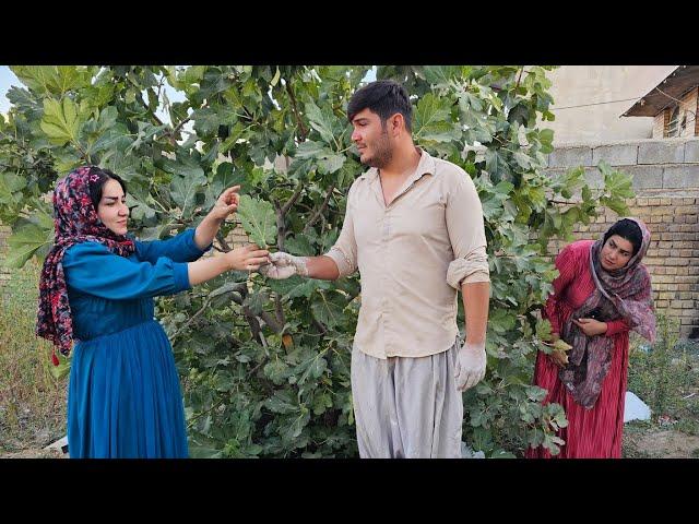 Maryam and Malik are busy building a house for their children so they won't have any problems