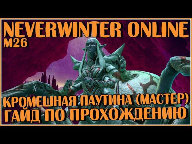 Кромешная Паутина (Мастер): Гайд По Прохождению | Neverwinter Online | M26