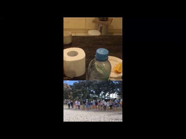 Kevin Wei Live Stream