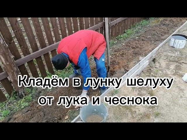 Садим картофель и многое другое.