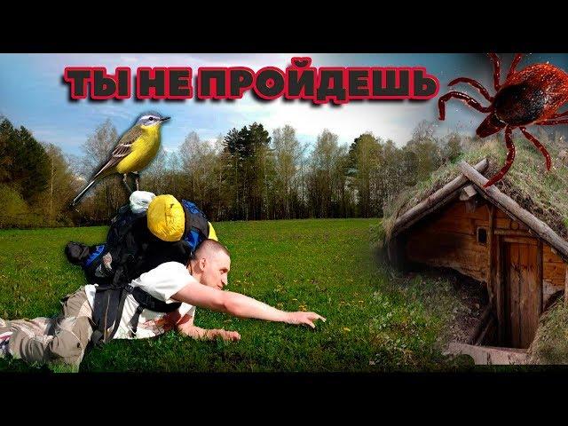 Поход к недостижимой землянке. Столько клещей мы еще не видели. Сибирь