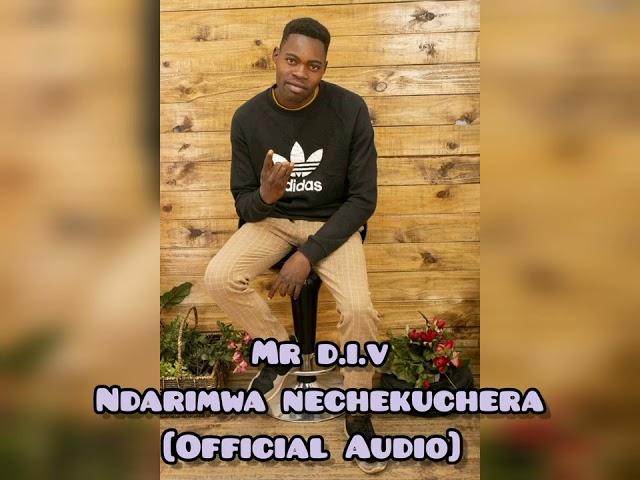 MR D.I.V NDARUMWA NECHEKUCHERA [OFFICIAL AUDIO]