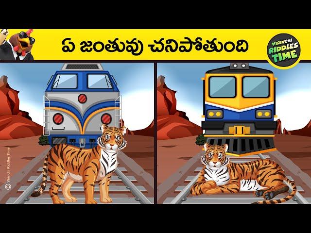  telugu riddles funny | new telugu riddles | logical riddles | podupu kathalu | virinchi