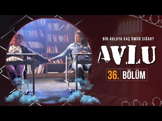 Avlu 36. Bölüm