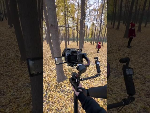 Sony α7S III & dji Pocket 3 & Go pro Camera with DJI RS 2 Gimbal | cinematic videography | 4k #Sony