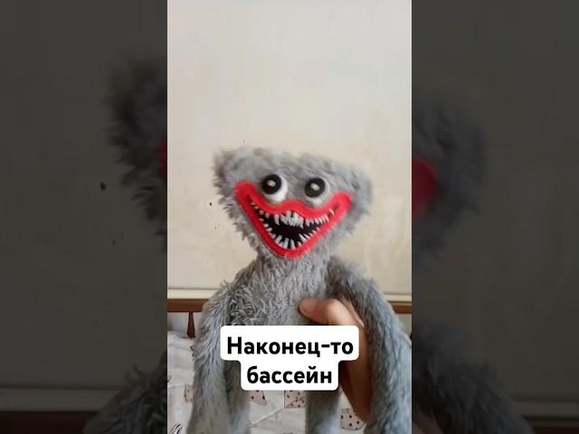 два хаги-ваги и бассейн