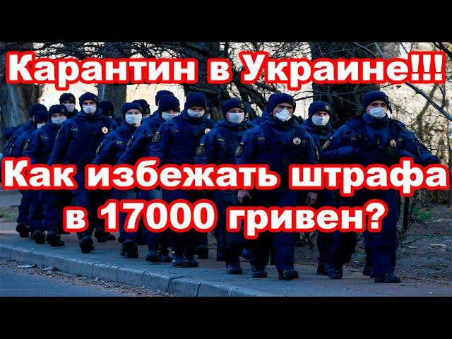 Штраф за нарушение карантина. Как не попасть на 17000?