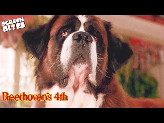 Naughty Beethoven Angers Richard And Julia | Beethoven's 4th | Screen Bites