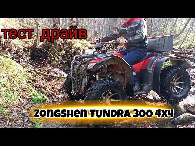 тест драйв по грязи и лесу / доработки / Zongshen Tundra Lux 4x4 2023 (Grizzly 300cc 4WD) / обзор