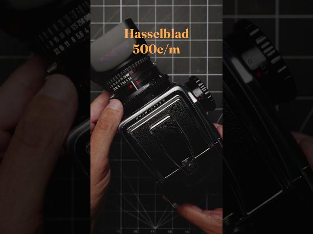 Film vs Digital | Leica, Hasselblad, & Nikon