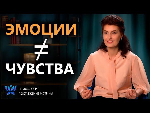 Эмоции и чувства: в чем принципиальная разница?