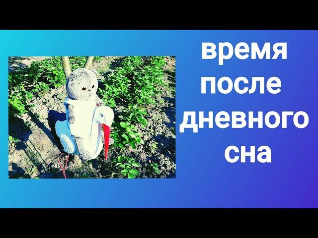 Время после дневного сна с басиком и реборном на даче!