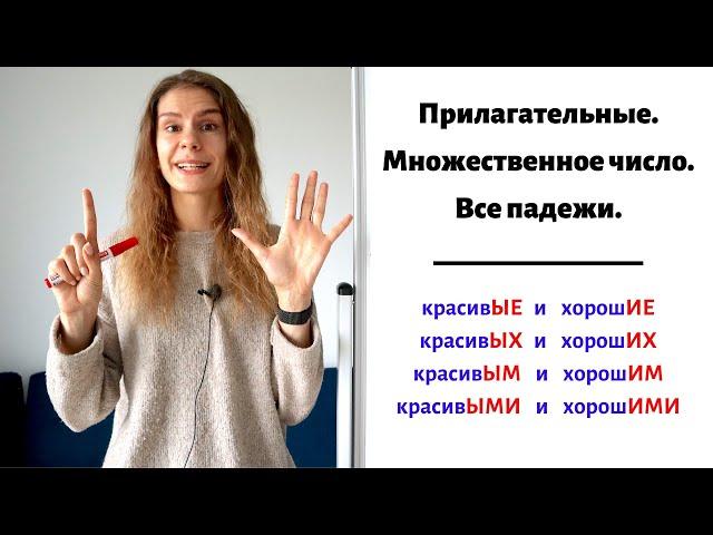 Склонение прилагательных во множественном числе || Прилагательные. Падежи