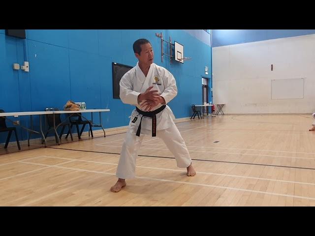 Kagawa Shihan explaining rear knee position in basics