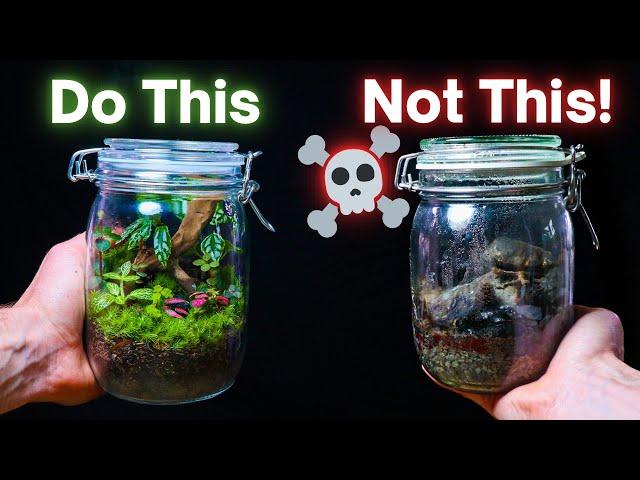 10 ESSENTIAL Terrarium Tips For Beginners!