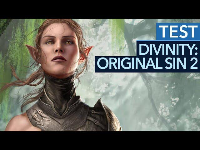 Divinity: Original Sin 2 - Test / Review: Ein MUSS für Rollenspiel-Fans! (Gameplay)