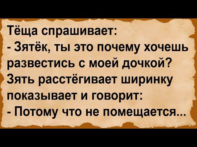 Зяётк, ты почему хочешь развестись с моей дочерью? Сборник анекдотов!