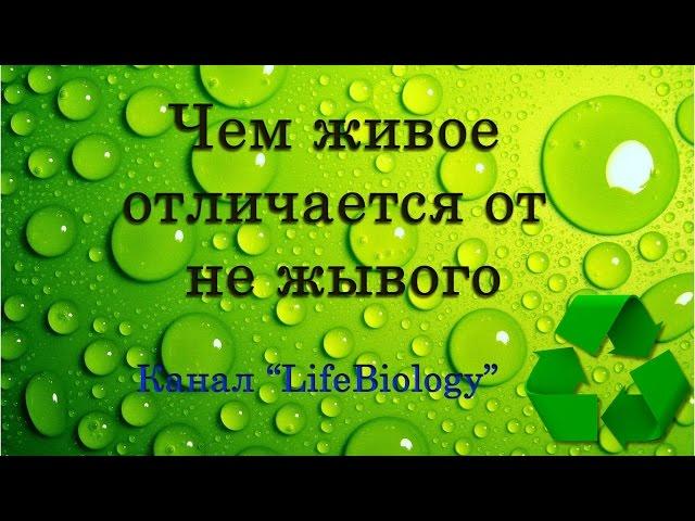 Строение и свойство живых организмов. Чем живое отличается от не жывого