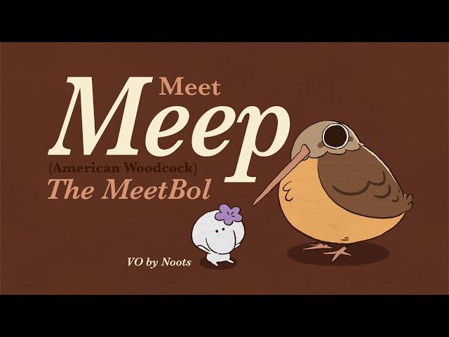 Meet the MeetBolz | Meep the American Woodcock