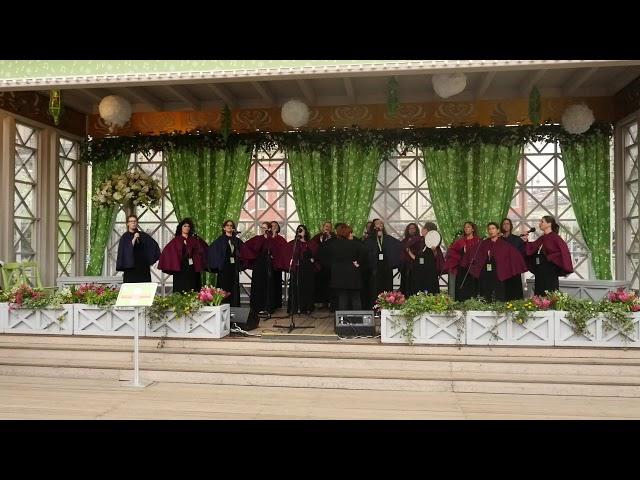 Moscow Seasons acappella singing festival - entry from a group from Israel