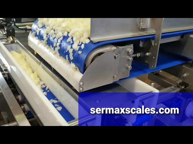 Pesadora Lineal SERMAX ® Cebolla Picada 130 Gr / LMB03 Sermax Belt weigher for sticky Chopped Onion.