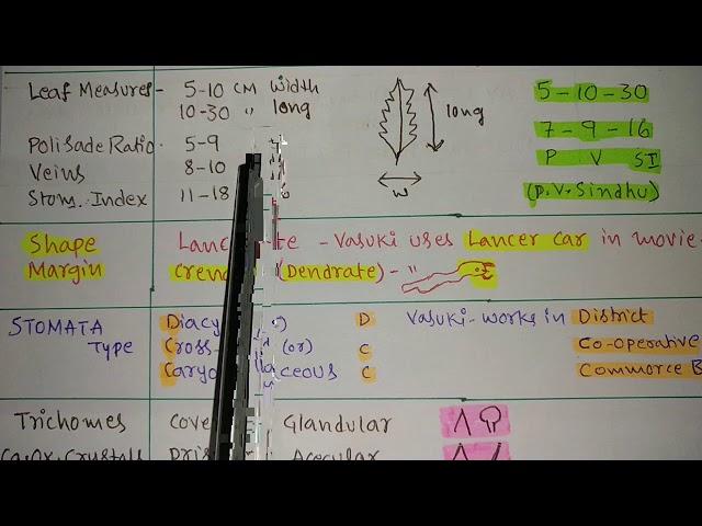 Part 4 Vasaka Leaf Plant Profile With Tricks