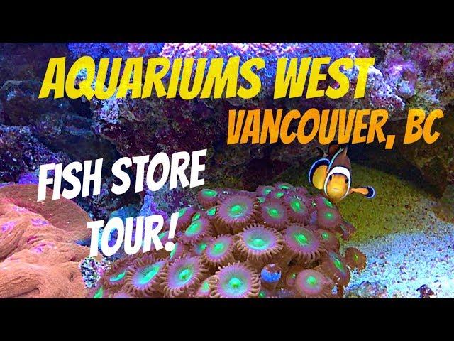 Fish Store Tour of Aquariums West in Vancouver, BC