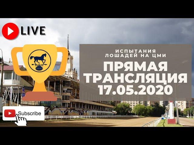 17.05.2020. Прямая трансляция с ЦМИ. Открытие скакового сезона. 