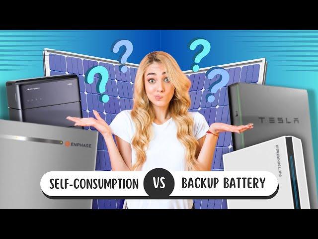 Discover Non-Backup vs Backup Battery Systems - What Works BEST?