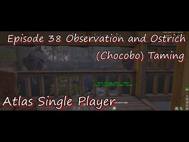 Atlas Single Player Episode 38 Observation and Ostrich Chocobo Taming