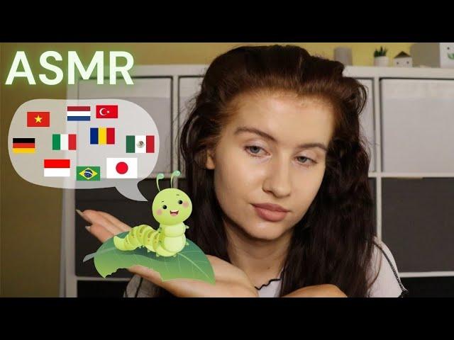 ASMR telling you a BEDTIME STORY in different LANGUAGES - the hungry CATERPILLAR 