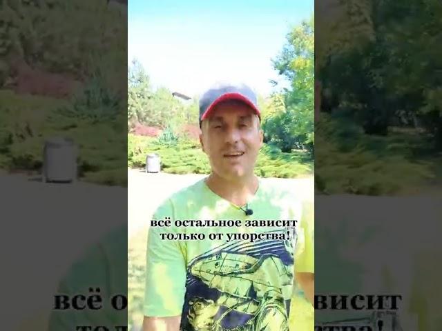 Что сложнее всего в жизни?