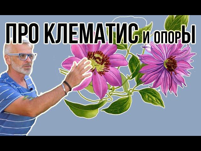 Клематис экстремальная посадка / Опоры для клематиса / Игорь Билевич