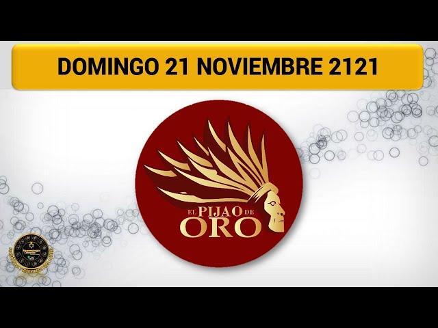 Resultado EL PIJAO DE ORO del domingo 21 de noviembre del 2021 