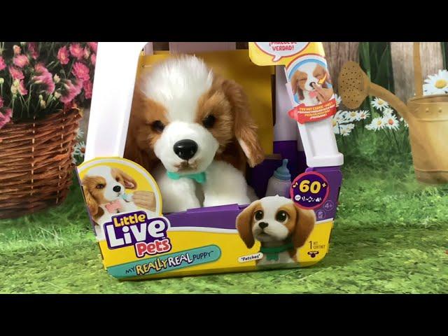 New Interactive Toys for Xmas 2024: Moose Toys My Really Real Puppy Patches Unboxing & Review!