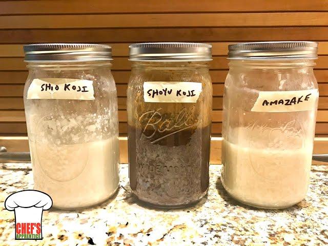 Japanese Faves: Making Shio Koji, Shoyu Koji, & Amazake