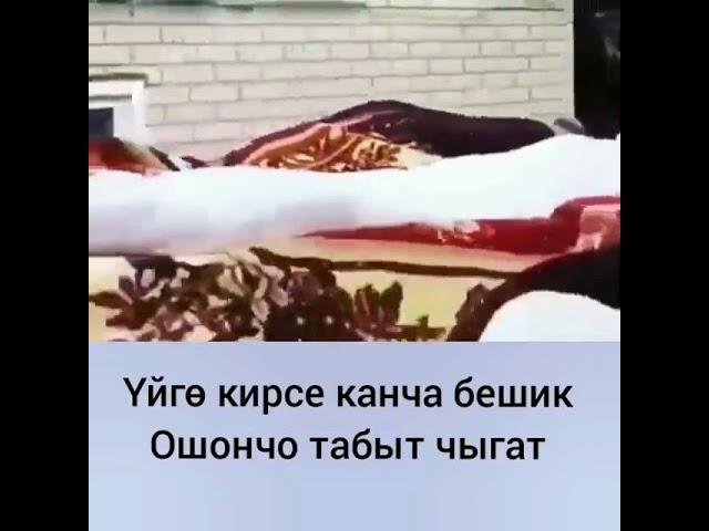 Уйго канча бешик кирсе ошончо табыт чыгат