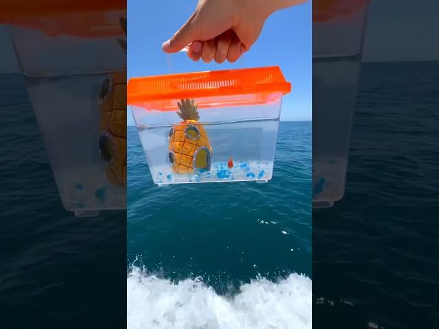 I Saved this Goldfish’s life! #shorts