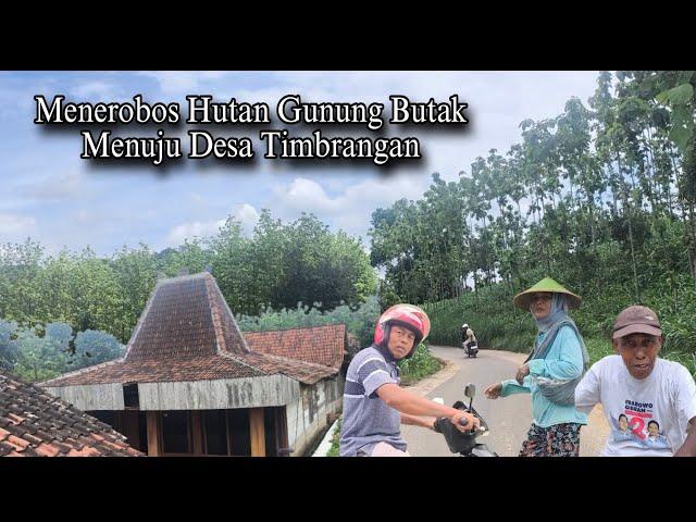 Menuju Desa Pedalaman Hutan Dilereng Gunung Butak Perbatasan Blora - Rembang Apakah UntukPesugihan?