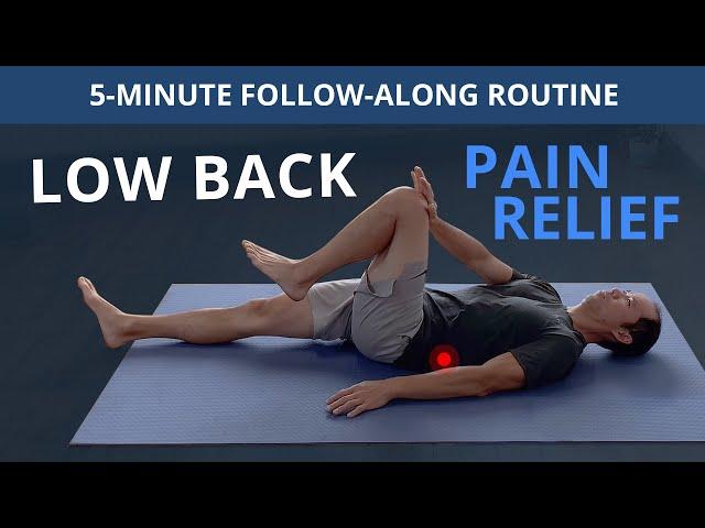 5 Minute Daily Routine for Low Back Pain Relief (FOLLOW-ALONG)