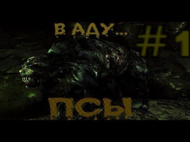 S.T.A.L.K.E.R. В Аду... Псы. #1. Начало. Артефакт Змей для Боцмана.