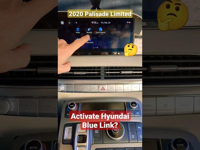 Network ERROR Activating Hyundai Blue Link 2020 Palisade Limited