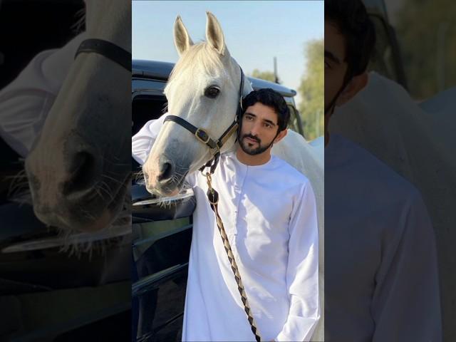 Dubai  prince humdan fazza #shorts